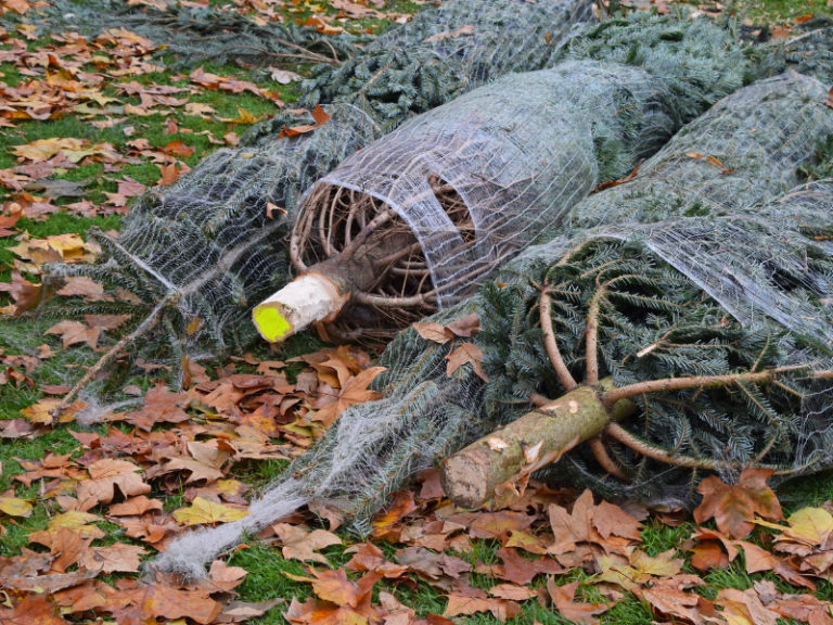 Akcje charytatywne w Inowrocławiu